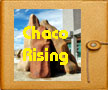 ChacoRising-Thumb1.JPG